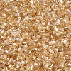 Glass Bugle Beads SEED-S032-11A-102-3