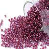 TOHO Round Seed Beads SEED-XTR11-0304-1