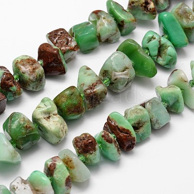 Natural Serpentine Bead Strands G-H044-07-1