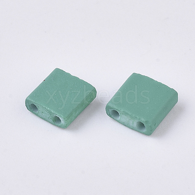 2-Hole Glass Seed Beads X-SEED-S023-31C-04-1
