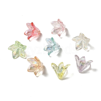 Transparent Acrylic Bead Caps OACR-H016-05-1