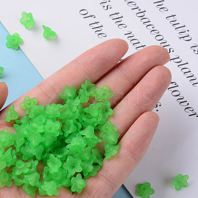 Transparent Acrylic Beads PL554-13-1