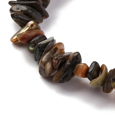 Natural Paua Shell Beads Strands BSHE-B007-05-1