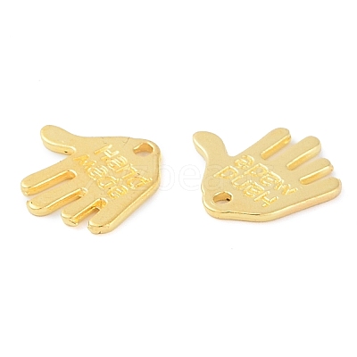 Tibetan Style Alloy Charms K095I012-1