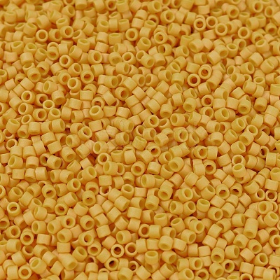 MIYUKI Delica Beads X-SEED-J020-DB2285-1