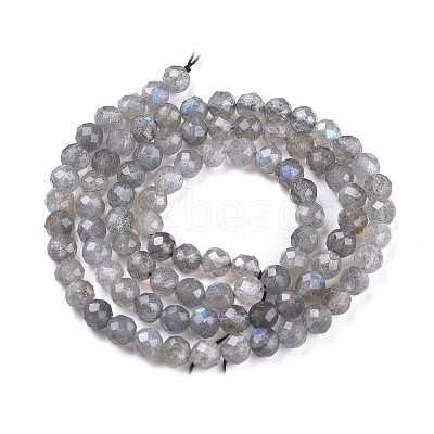 Natural Labradorite Beads Strands X-G-R475-025C-1