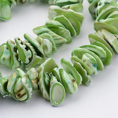 Natural Shell Bead Strands BSHE-P010-05-1