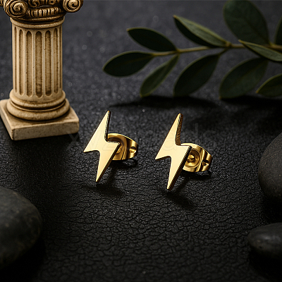 6 Pairs 2 Colors 304 Stainless Steel Stud Earrings EJEW-GO0002-27-1