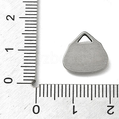304 Stainless Steel Charms STAS-P422-11P-1