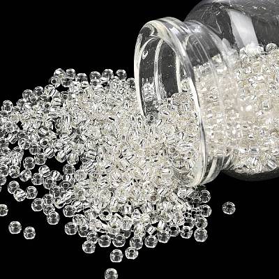8/0 Transparent Glass Round Seed Beads X-SEED-J010-F8-21-1