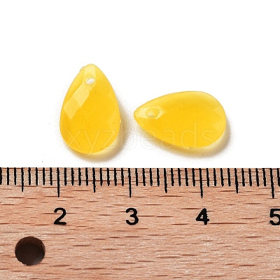 Opaque Acrylic Charms MACR-F079-07M-1