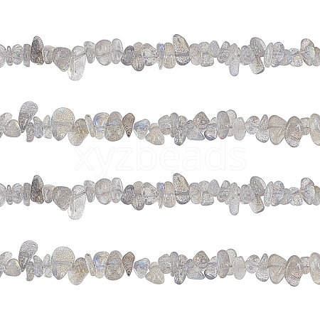 Natural Labradorite Bead Strands G-GL0001-03-1