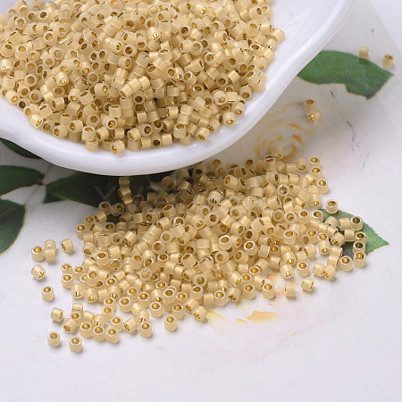 MIYUKI Delica Beads SEED-MY11-DB0230-1