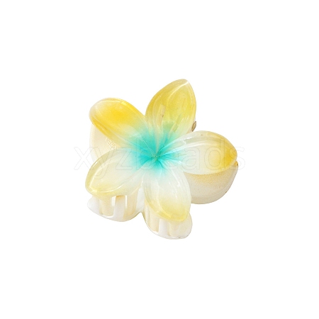 Plastic Claw Hair Clips PW-WG07B2B-08-1