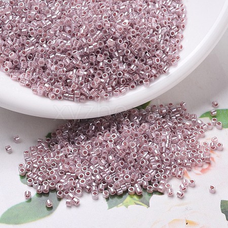 MIYUKI Delica Beads SEED-J020-DB0256-1