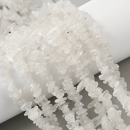 Natural Rainbow Moonstone Chip Beads Strands X-G-C195-01-1