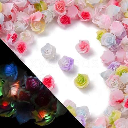 Luminous Resin Decoden Cabochons RESI-Z032-05A-1