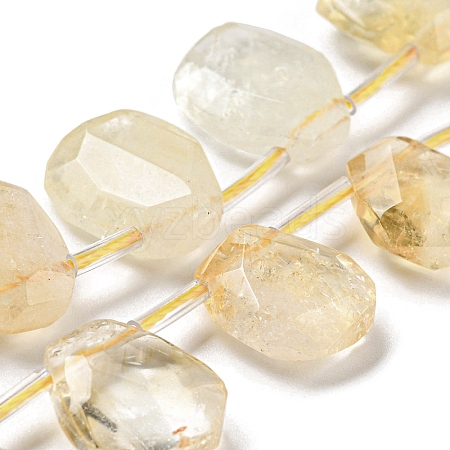 Natural Citrine Beads Strands G-Z040-A08-01-1