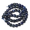 Natural Lapis Lazuli Beads Strands G-P544-E10-01-3