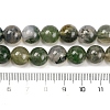 Natural Moss Agate Beads Strands G-J358-01-10MM-5