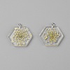 Transparent Clear Resin Pendants RESI-TAC0007-07B-1