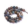 Natural Ocean Agate/Ocean Jasper Beads Strands G-G772-03-C-2