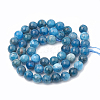 Natural Apatite Beads Strands G-S333-10mm-012-3