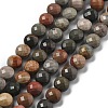 Natural Ocean Jasper Beads Strands G-C179-A09-02-2