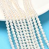 Natural Cultured Freshwater Pearl Beads Strands PEAR-C004-04-1