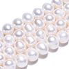 Natural Cultured Freshwater Pearl Beads Strands PEAR-N013-08F-3