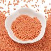 Baking Paint Glass Seed Beads X-SEED-S042-05B-83-2