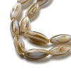Natural Freshwater Shell Beads Strands SHEL-C005-04-3