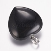 Natural Black stone  Gemstone Pendants X-G-E338-10B-2
