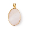 Natural Shell Pendants SSHEL-G028-02G-3