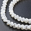 Natural Trochid Shell/Trochus Shell Bead Strands SSHEL-N034-104-B01-4