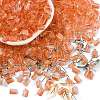 Transparent Spray Painted Glass Seed Beads SEED-L011-10A-08-1