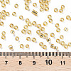 8/0 Glass Seed Beads X2-SEED-A005-3mm-22-3