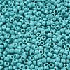 TOHO 6/0 Round Beads SEED-TR06-0055-3