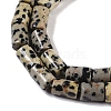 Natural Dalmatian Jasper Beads Strands G-C128-A18-01-4