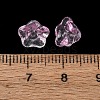 Baking Paint Transparent Glass Beads GLAA-T025-81C-06-3