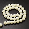 Natural Sea Shell Beads Strands SSHEL-K013-10mm-A-2