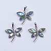 Abalone Shell/Paua Shell Pendants X-SSHEL-L008-07P-1