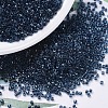 MIYUKI Delica Beads X-SEED-J020-DB0286-1