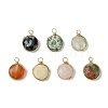 Natural Gemstone Pendants PALLOY-JF03175-02-1