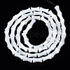 Natural Trochid Shell/Trochus Shell Beads Strands SSHEL-N034-93-B01-2