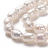 Natural Cultured Freshwater Pearl Beads Strands PEAR-L033-65-2
