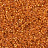MIYUKI Delica Beads X-SEED-J020-DB0681-3