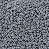 MIYUKI Round Rocailles Beads X-SEED-G008-RR0498-3