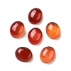 Dyed & Heated Natural Carnelian Cabochons G-G145-01A-23-1