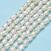 Natural Cultured Freshwater Pearl Beads Strands PEAR-J006-02A-2